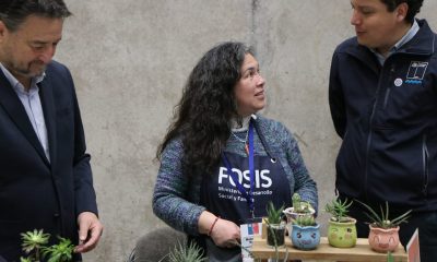 fosis-microcreditos-para-emprendedores-chilenos