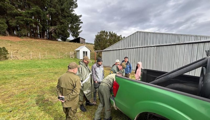 carabineros-indicios-de-vida-de-universitario-extraviado-en-chiloe
