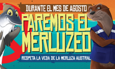 region-de-los-lagos-comienza-veda-de-merluza-austral-para-su-conservacion