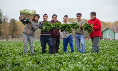programa-tierra-joven-apoyo-vital-para-juventud-rural