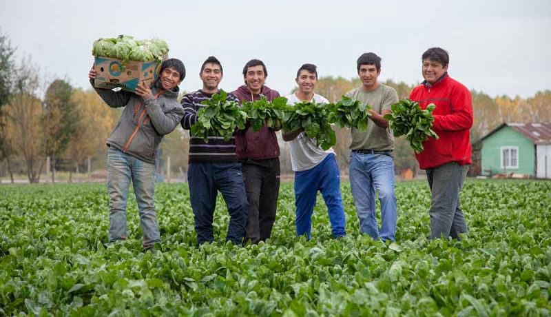 programa-tierra-joven-apoyo-vital-para-juventud-rural