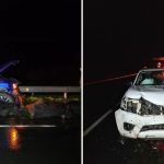 piara-de-vacunos-causa-multiples-choques-en-ruta-5-sur-balance-y-consecuencias