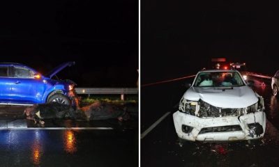 piara-de-vacunos-causa-multiples-choques-en-ruta-5-sur-balance-y-consecuencias