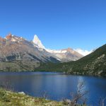 nuevas-poblaciones-de-huemules-descubiertas-en-reserva-futaleufu