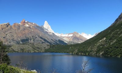 nuevas-poblaciones-de-huemules-descubiertas-en-reserva-futaleufu