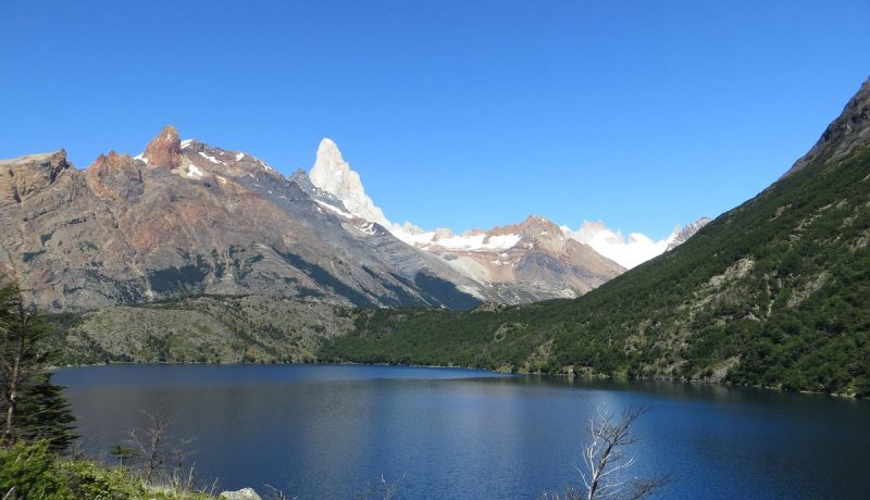 nuevas-poblaciones-de-huemules-descubiertas-en-reserva-futaleufu