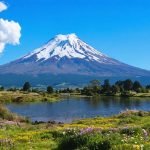 desarticulan-red-de-abigeato-en-osorno-recuperan-ganado-robado