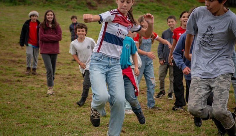 Educación en Frutillar: Opciones y Compromiso Local