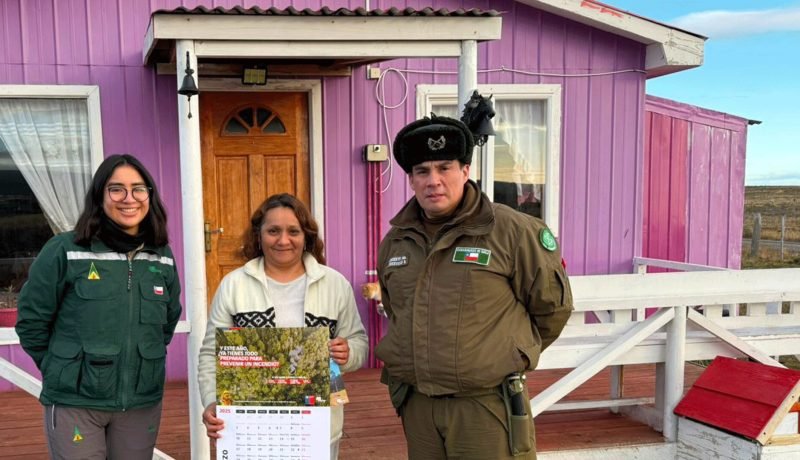 Osorno: Fiscalía Sin Espacios para Bienes Incautados, Buscan Solución en Puerto Montt Osorno: Fiscalía Sin Espacios para Bienes Incautados, Buscan Solución en Puerto Montt