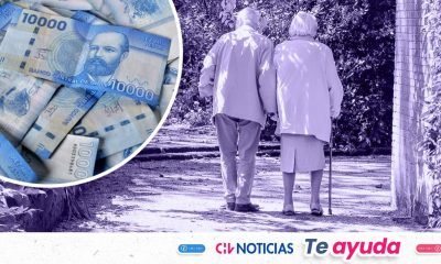Bonos y Subsidios Chile: Guía Completa de Ayudas en Octubre 2025