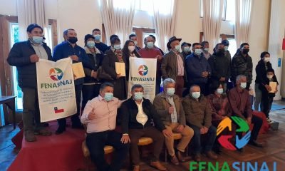 Reconocimiento Histórico: Ley Mejora Condiciones de Recolectores en Chile