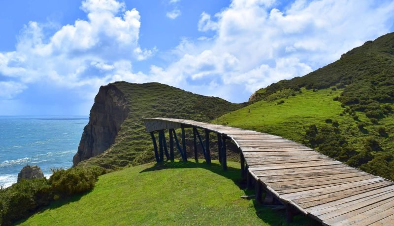 Chiloé: Alerta Ambiental por Venta Masiva de Terrenos en la Región de Los Lagos Chiloé: Alerta Ambiental por Venta Masiva de Terrenos en la Región de Los Lagos