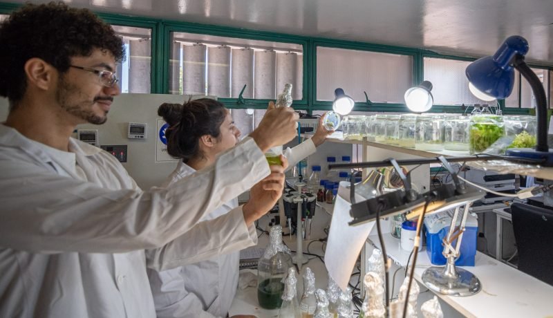 Puerto Varas se consolida como polo de biotecnología con nuevo StartupLab