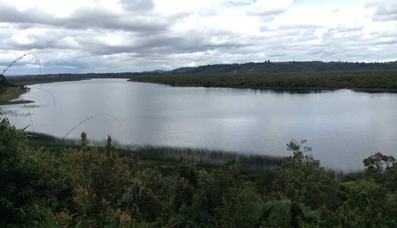 Alerta hídrica en Maullín: DGA limita nuevas concesiones