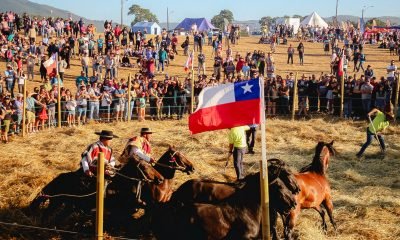 SAGO FISUR 2025: Feria de Osorno celebra 80 años con mega asado y fiesta ranchera