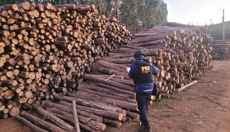 Robo de madera en Los Lagos: PDI detiene a dos personas en flagrancia