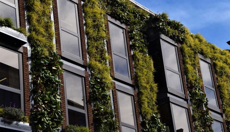 Los Lagos Lanza Guía para la Construcción Sostenible y Valorización de Residuos