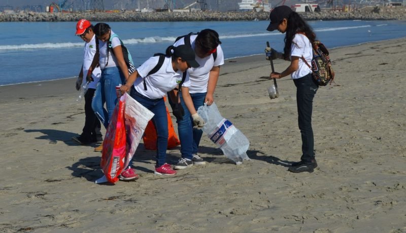 Limpieza en Dalcahue: Retiran más de 16 toneladas de basura de playas y humedales de Chiloé