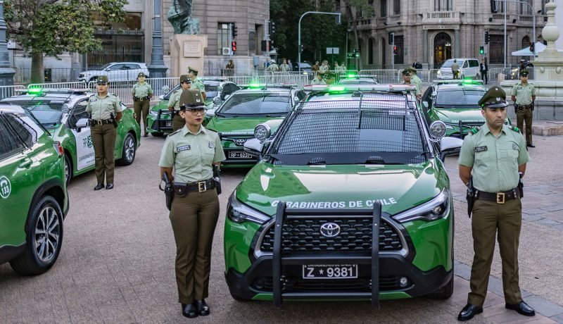 Alerta en Osorno: encuentran cabeza de oveja en Rahue Alto