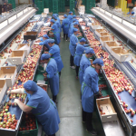 Sueldos de hasta $3 millones: Conoce las ofertas laborales del Ministerio de Economía