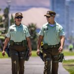 Amenazan con arma por un kilo de queso: Dos detenidos tras violento robo en Ancud