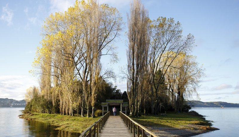 Isla Aucar: Refuerzan su emblemática pasarela en Quemchi para la temporada alta