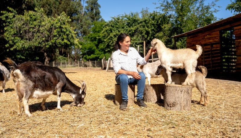 Cores exigen intervenir Programa de Turismo Rural de Codesser por graves retrasos en Los Lagos
