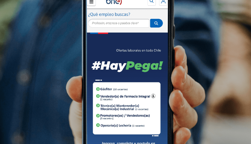 Sueldos sobre $3,5 millones: Revisa las ofertas laborales del Ministerio de Desarrollo Social y cómo postular