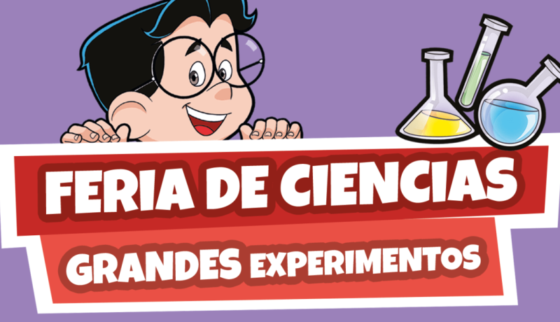 Chaitén: Estudiantes de Palena destacan con proyectos científicos