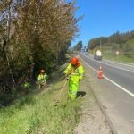 Mejora vial: Limpieza de rutas en San Pablo desde diciembre