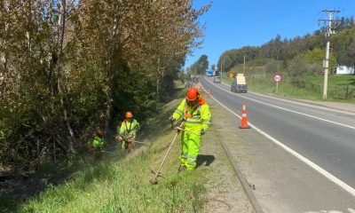 Mejora vial: Limpieza de rutas en San Pablo desde diciembre