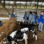 IPAAM Osorno: Estudiantes Impulsan Emprendimiento Lácteo con Innovadora Muestra