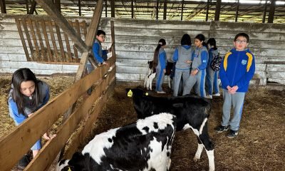 IPAAM Osorno: Estudiantes Impulsan Emprendimiento Lácteo con Innovadora Muestra