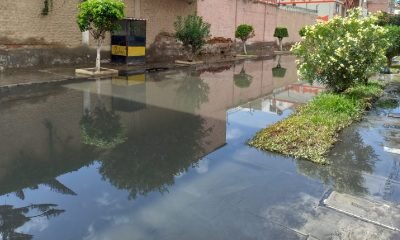 Alerce, Puerto Montt: Crisis por Desborde de Alcantarillado y Residuos