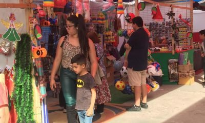 Osorno: Realizarán 1ra Expo Navideña en Ovejería con cupos para emprendedores