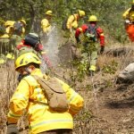 Multigremial en Alerta: Aumenta el Riesgo de Incendios Intencionales en La Araucanía
