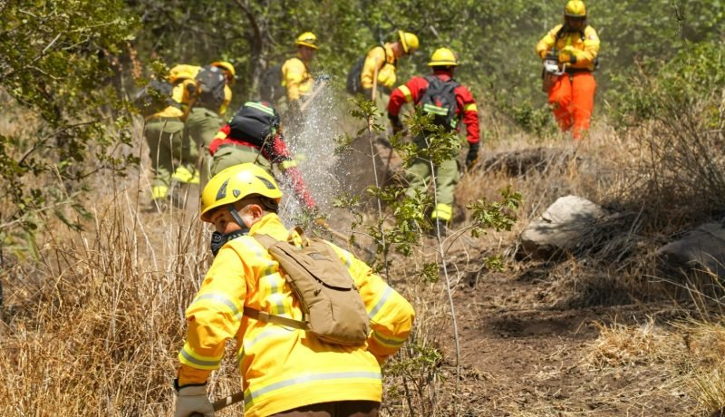 Multigremial en Alerta: Aumenta el Riesgo de Incendios Intencionales en La Araucanía