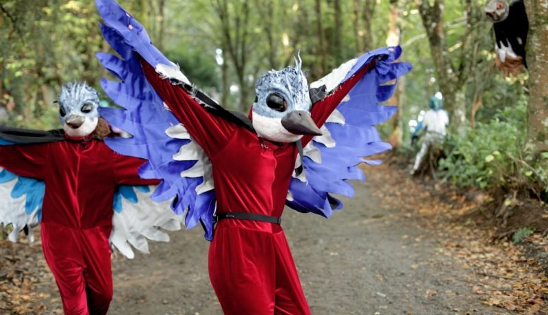 Carnaval del Sur Impulsa Economía Solidaria en Puerto Montt con Modelo de Costa Rica