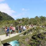 conaf-impulsa-plan-maestro-para-renovar-parque-vicente-perez-rosales