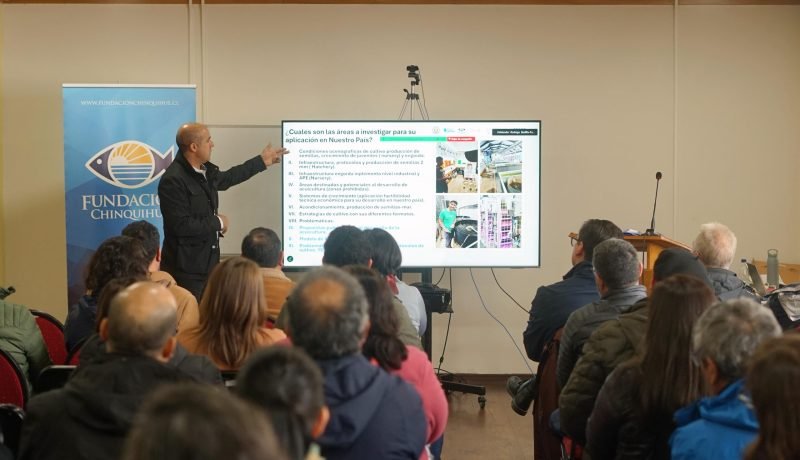 acuicultura-en-los-lagos-impulso-al-cultivo-de-ostra-japonesa