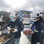 sernapesca-intensifica-fiscalizacion-por-pesca-ilegal-de-erizo-en-los-lagos-y-aysen