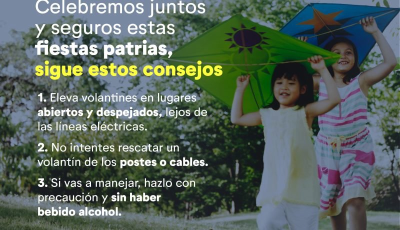 saesa-llama-a-fiestas-patrias-seguras-en-la-region-de-los-lagos