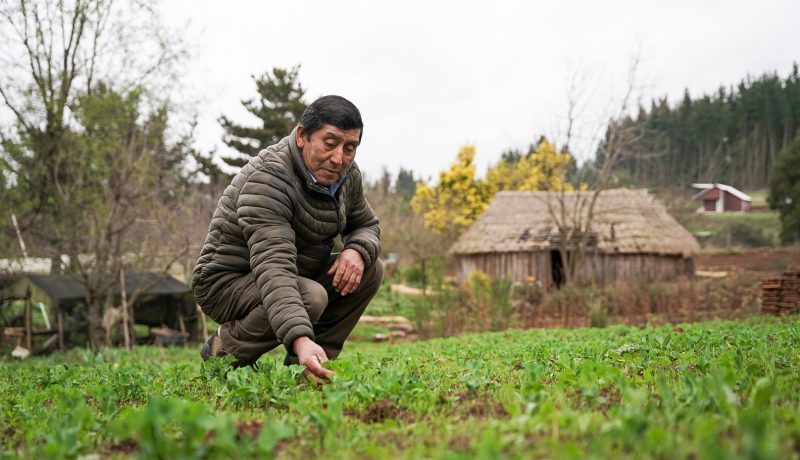 indap-nueva-politica-de-gestion-de-riesgos-climaticos-para-agricultores