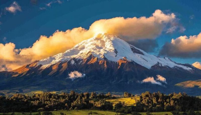 acusan-a-arrendatario-de-homicidio-calificado-por-disputa-de-marihuana-en-calbuco