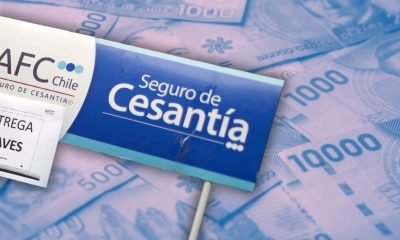 bonos-y-beneficios-para-cesantes-en-chile-guia-septiembre-2025