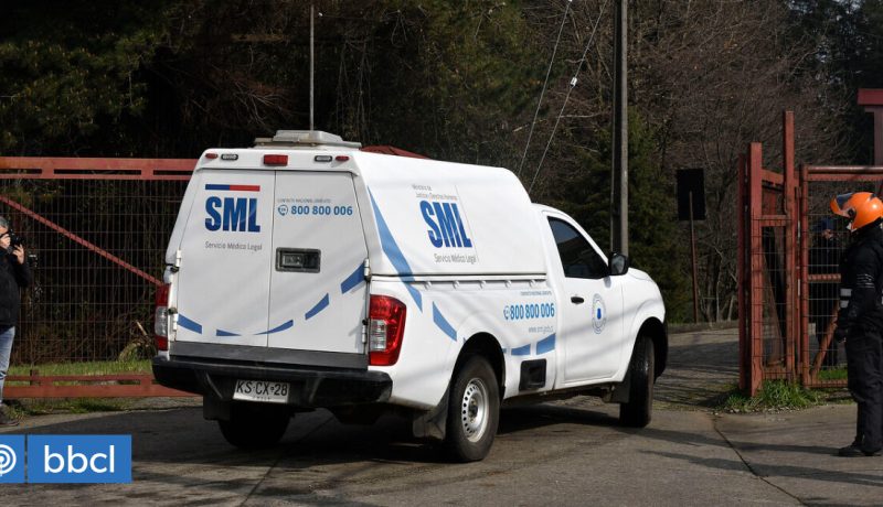 homicidio-en-frutillar-mujer-fallece-por-disparo