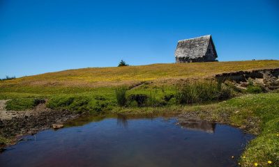 puerto-montt-monte-verde-al-alcance-de-todos
