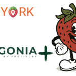 patagonia-la-app-de-frutiyork-que-impulsa-los-lagos