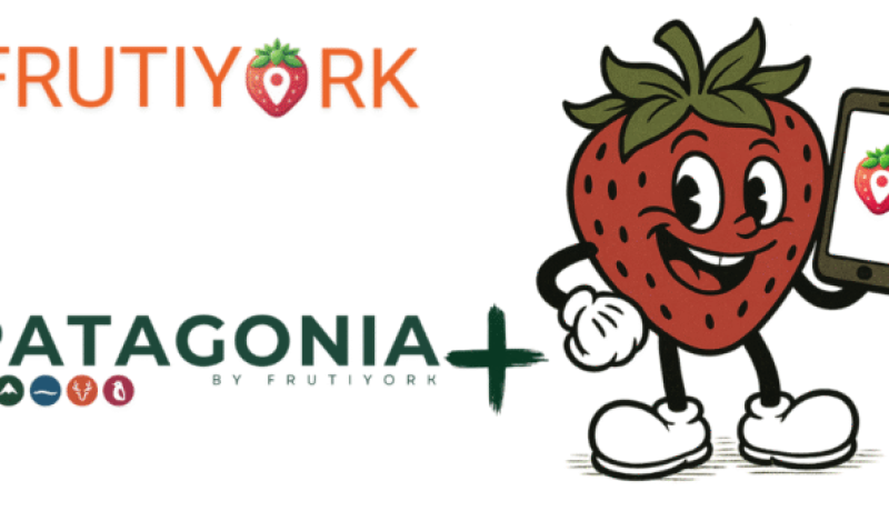 patagonia-la-app-de-frutiyork-que-impulsa-los-lagos