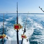pesca-ilegal-en-el-golfo-de-ancud-alarma-a-los-lagos